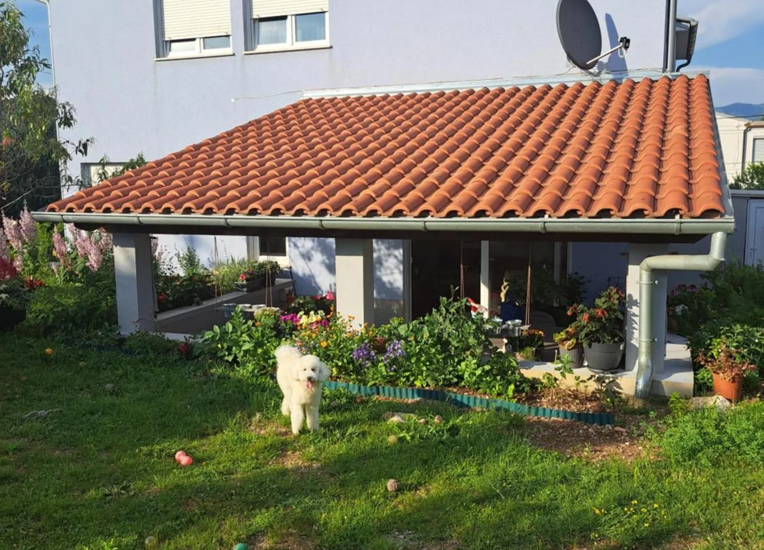 Papa'S Place Cernik